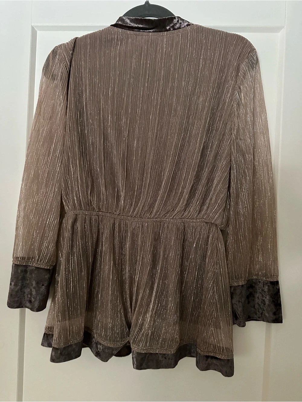 Metallic Taupe Blouse with Crushed Velvet Trim - Picture 2 of 4